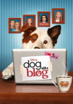 Hund mit Blog